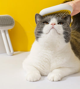 Capsule-Shaped Pet Massage Grooming Brush