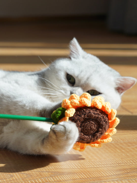 ZEZE Mystery Garden Cat Teaser