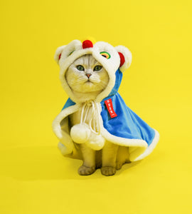 Lion Dance Pet Clothes