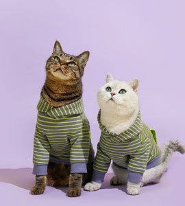 Striped Hooded Pet Hoodie