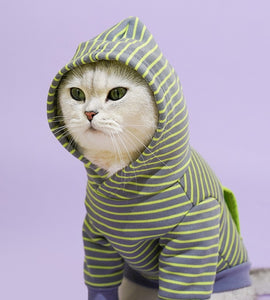 Striped Hooded Pet Hoodie